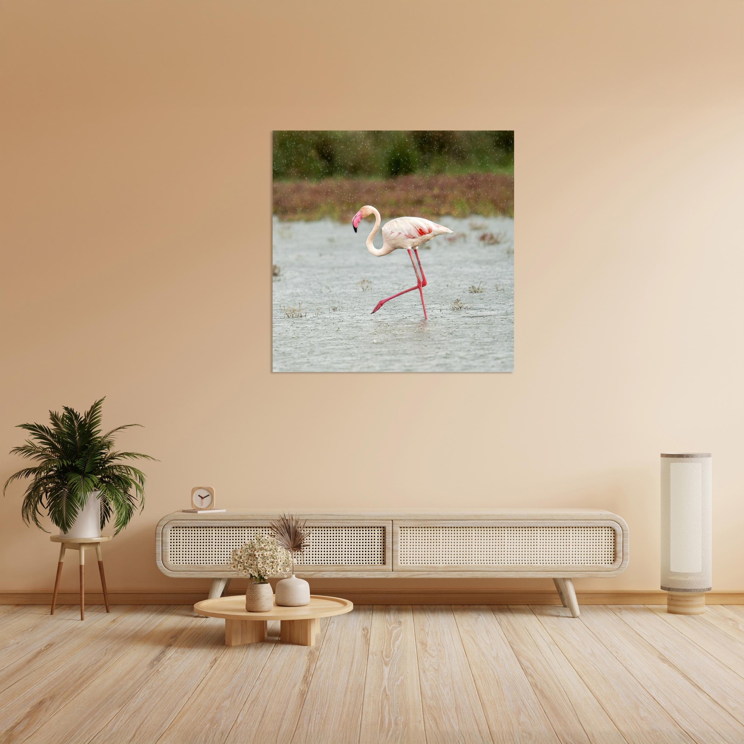 Yağmurda Flamingo