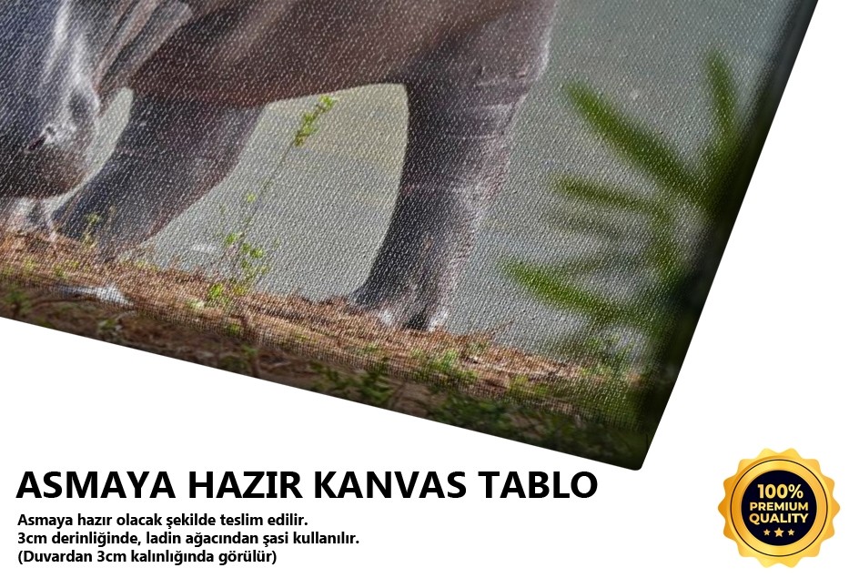 2 Hipopotamus Tablo