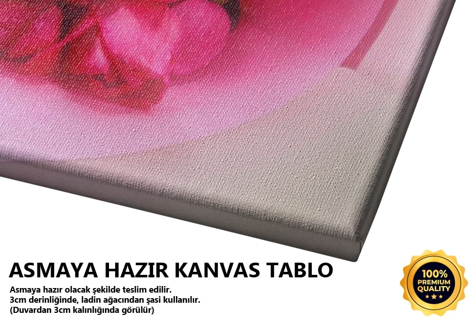 Aşk, Öyle Zannetmektir -2008 Tablo