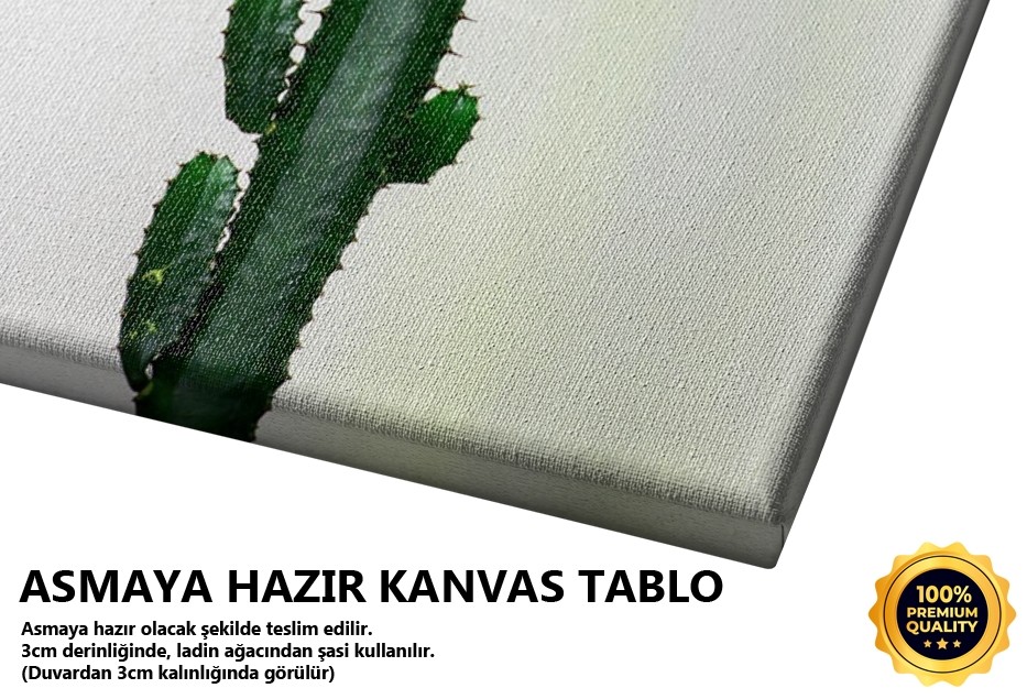 Kaktüs Tablo
