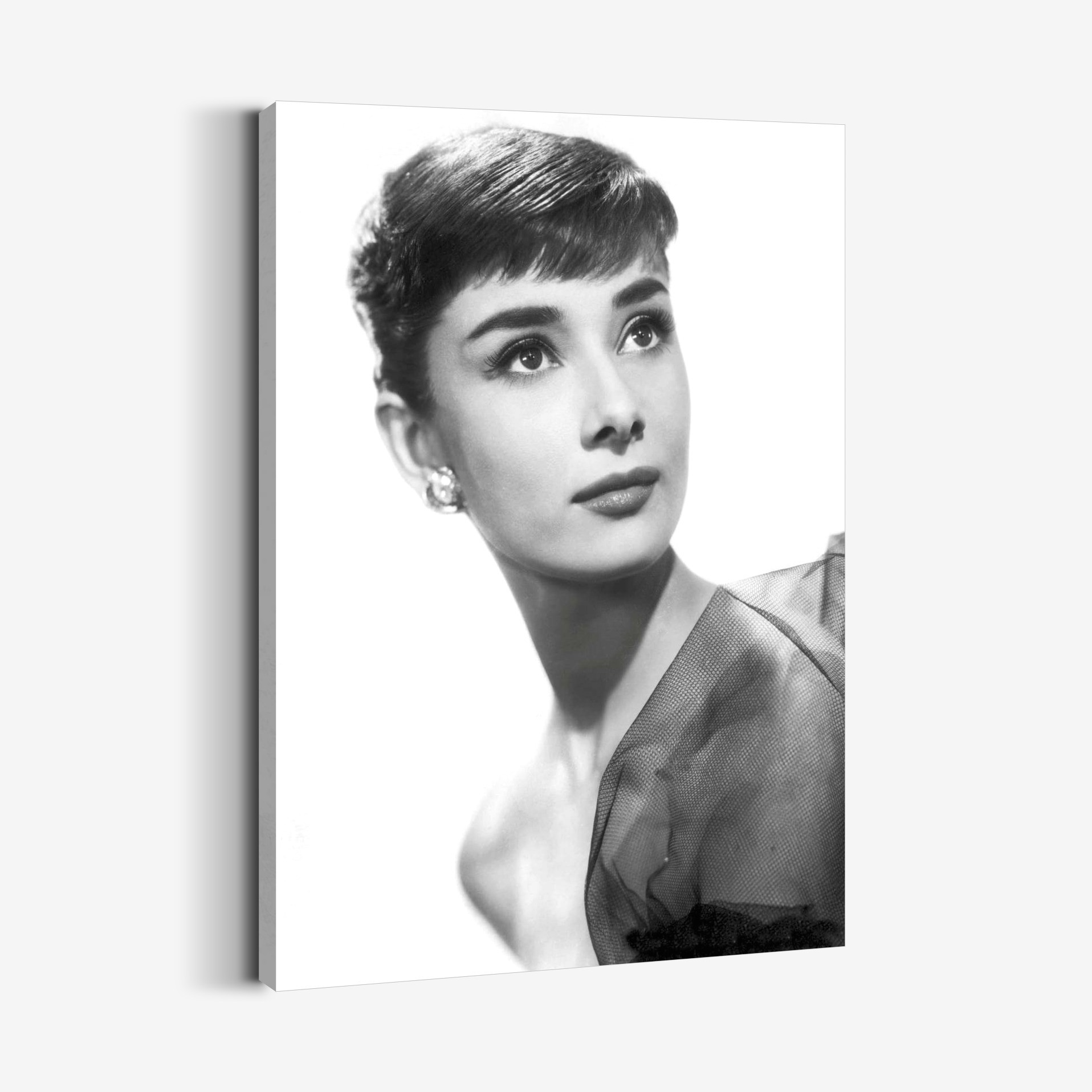 Audrey Hepburn Tablo