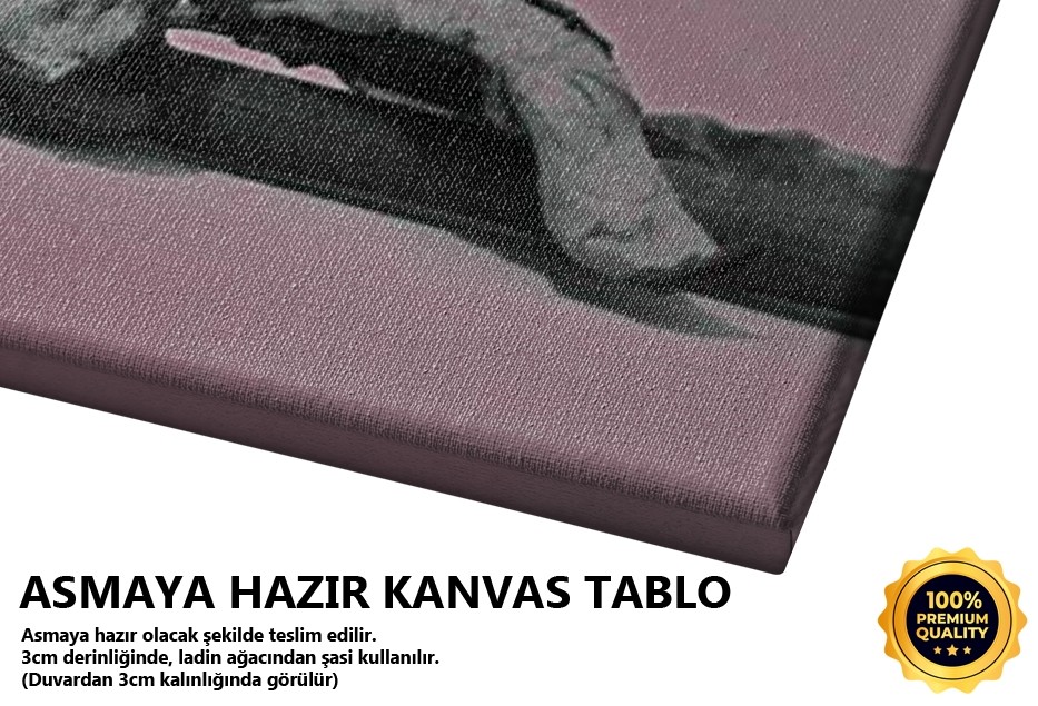 Solgun -2006 Tablo