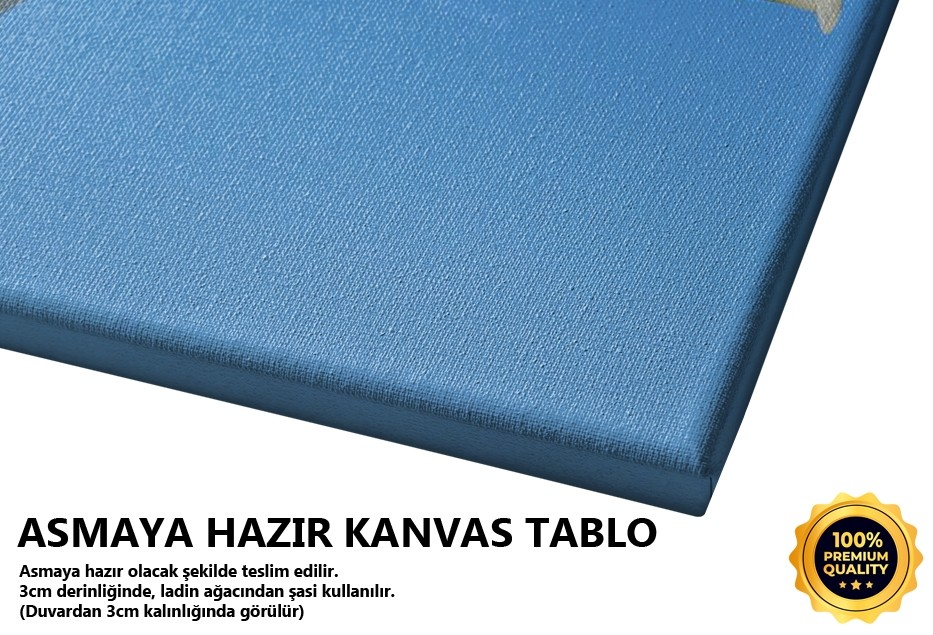 Jonathan Tablo