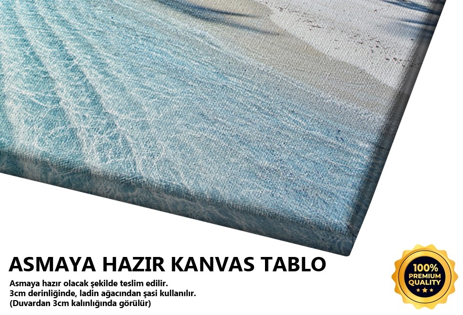 Tropik Plaj ve Palmiye Ağaçları