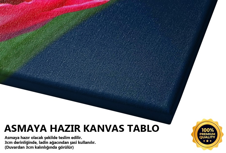 Lalenin Derdi -2008 Tablo