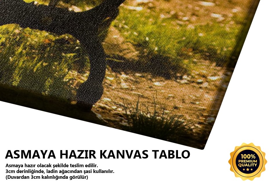 Sonbahar Yalnızlığı 2 Tablo