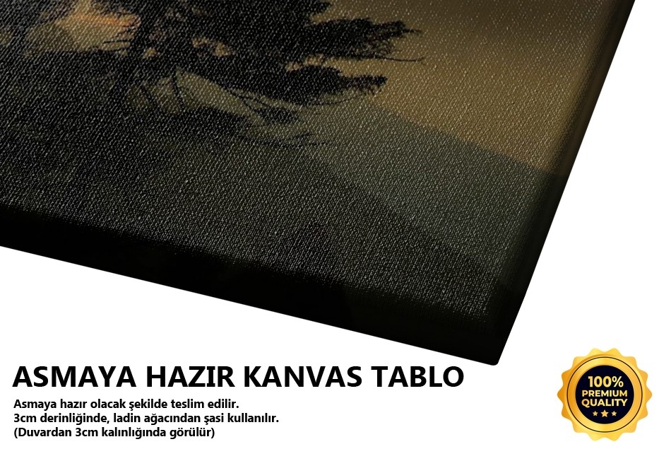 Yalnız Çekilmezdi Tablo