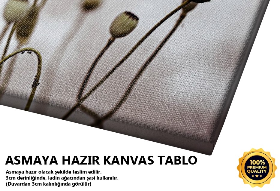 Gelincik Tablo