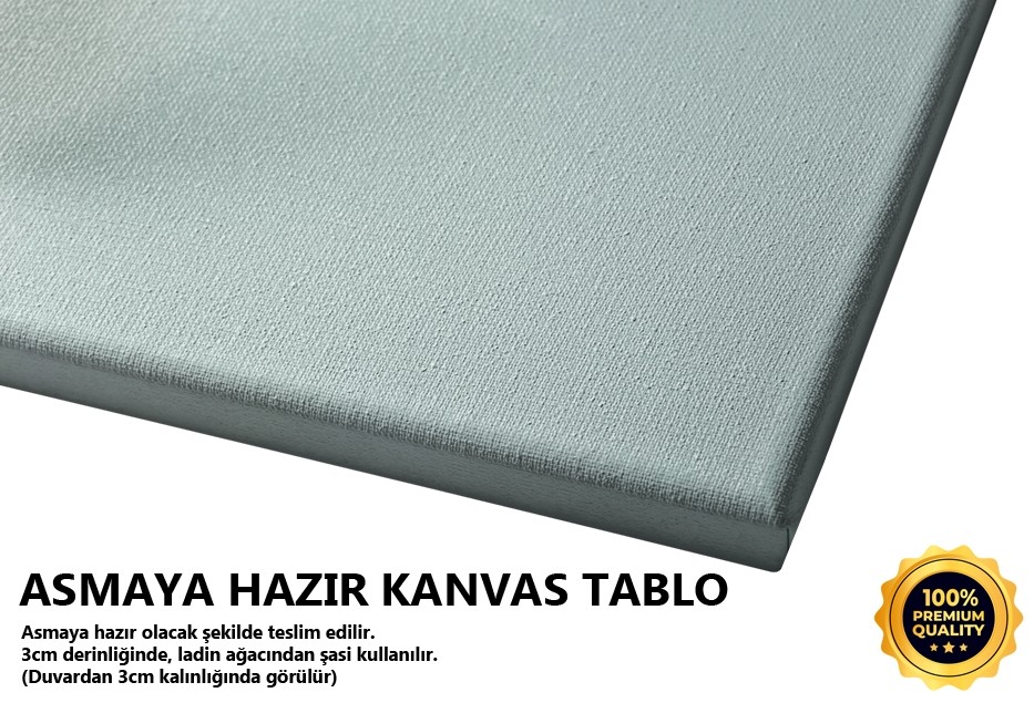 Bir Tane Tablo
