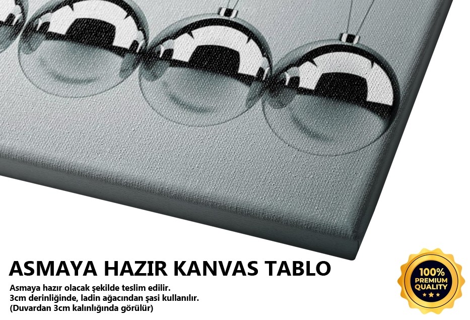 Newton Beşiği Tablo
