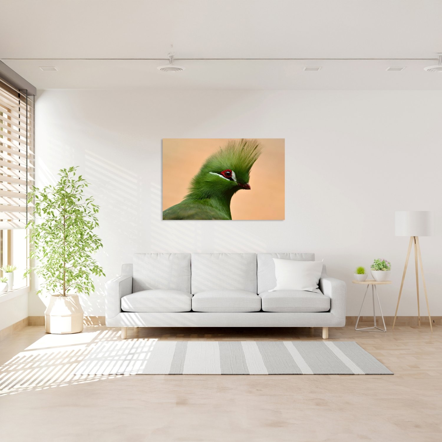 Yeşil Turaco Tablo