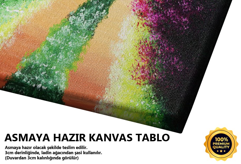 Küçük Şirin Ev Tablo