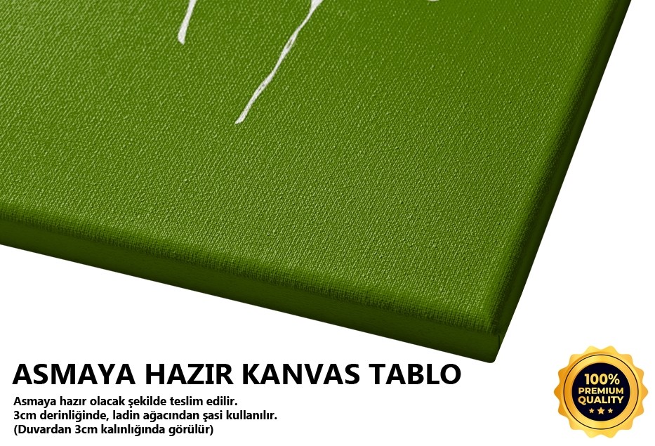 Beyaz Çiçek Tablo