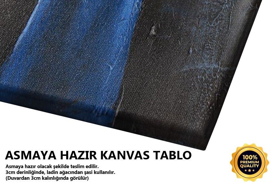 Kadın Figürü Tablo