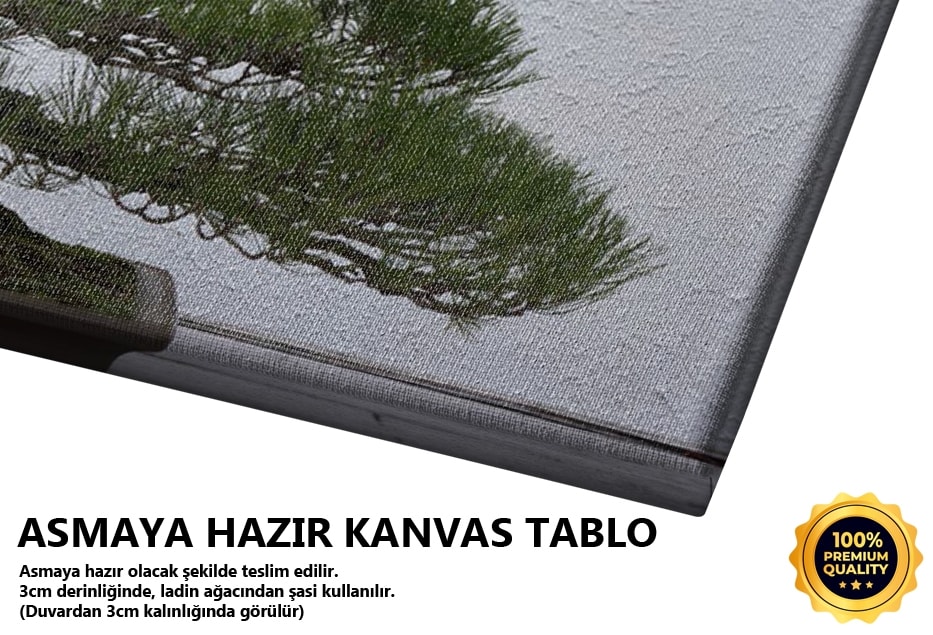 Bonsai Çam Tablo