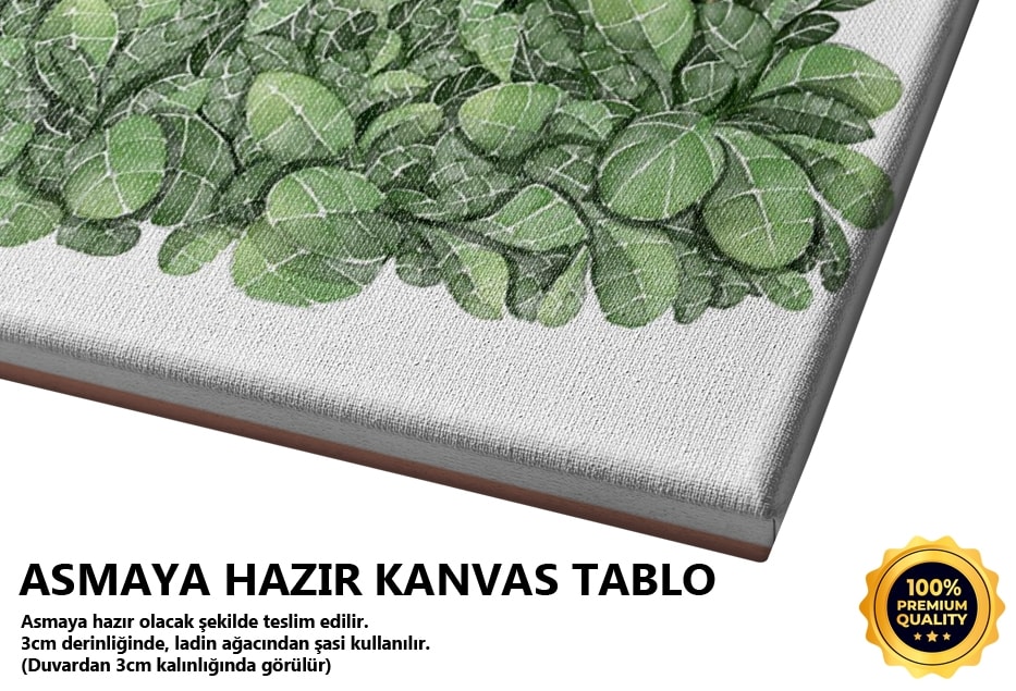 Kaktus Seri 1 Tablo