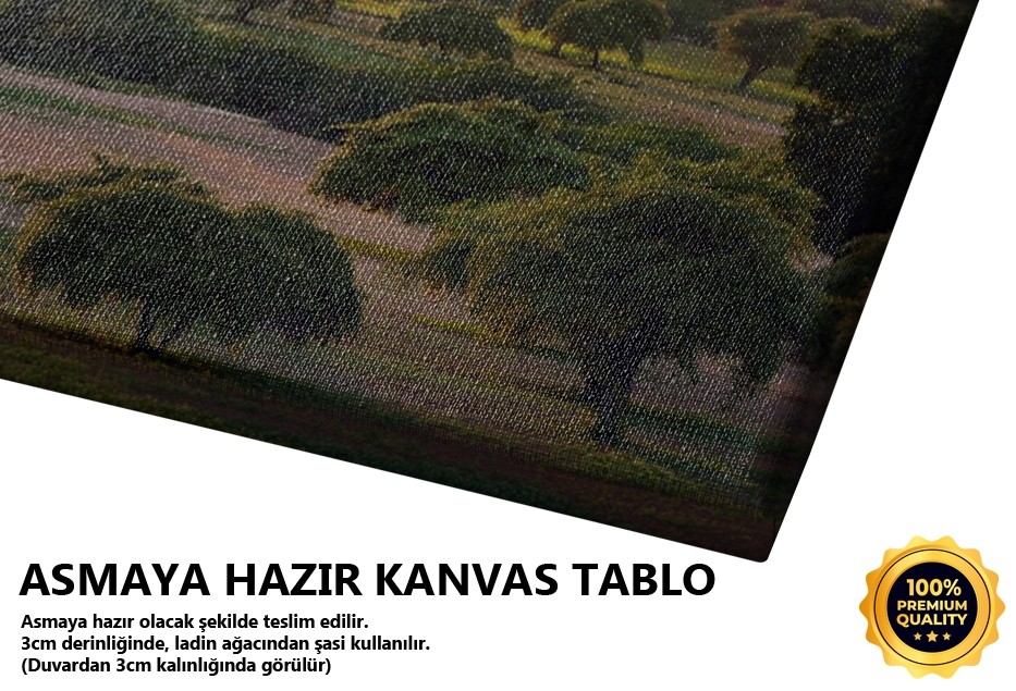 Bagan Tapınaklar Tablo
