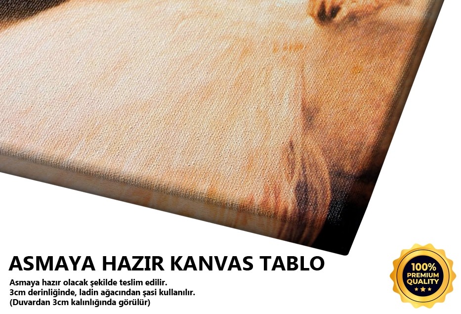 Sonja Kinips'in Portresi Tablo