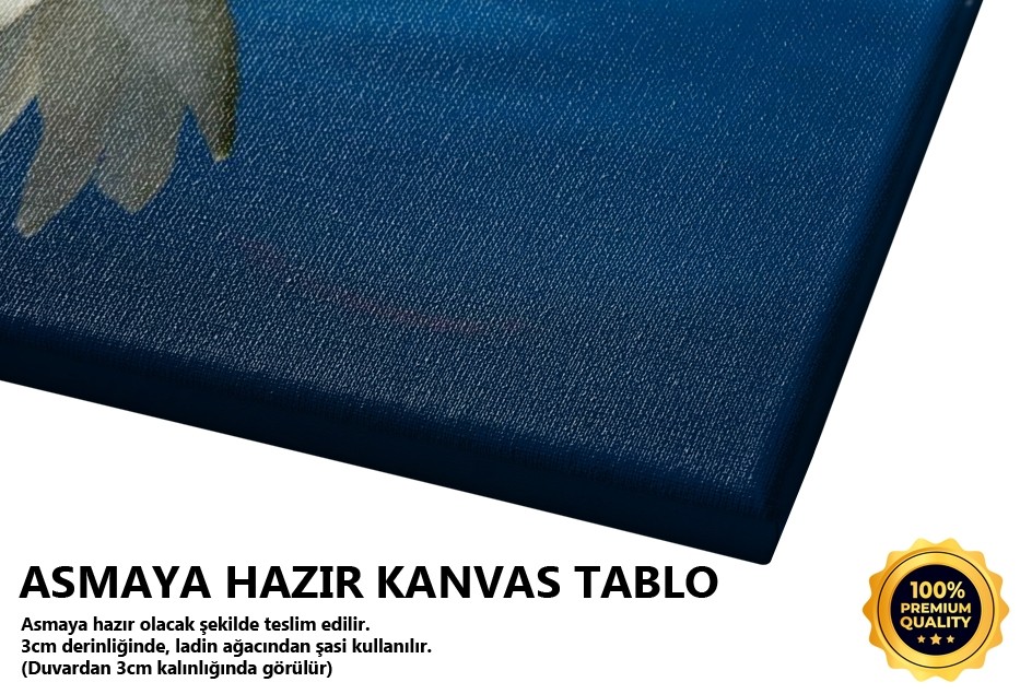 Nilüfer Tablo
