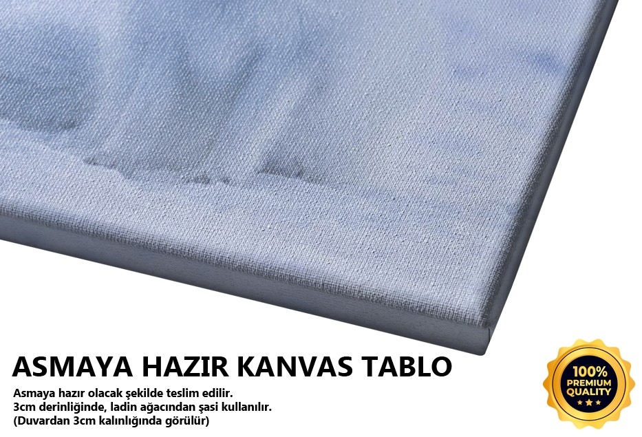 Kutup Ayısı Tablo
