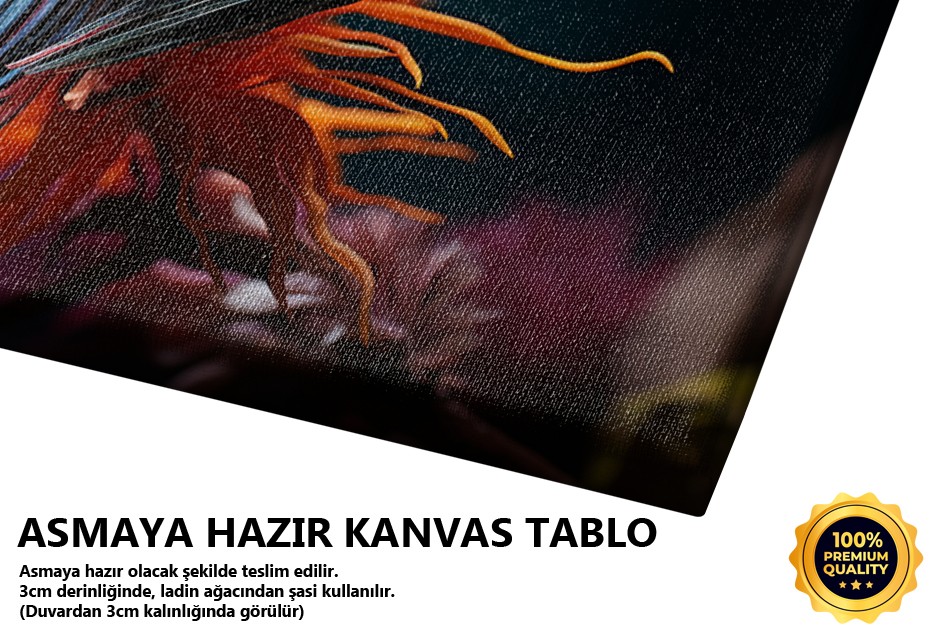 Akvaryumda Zarif Balık