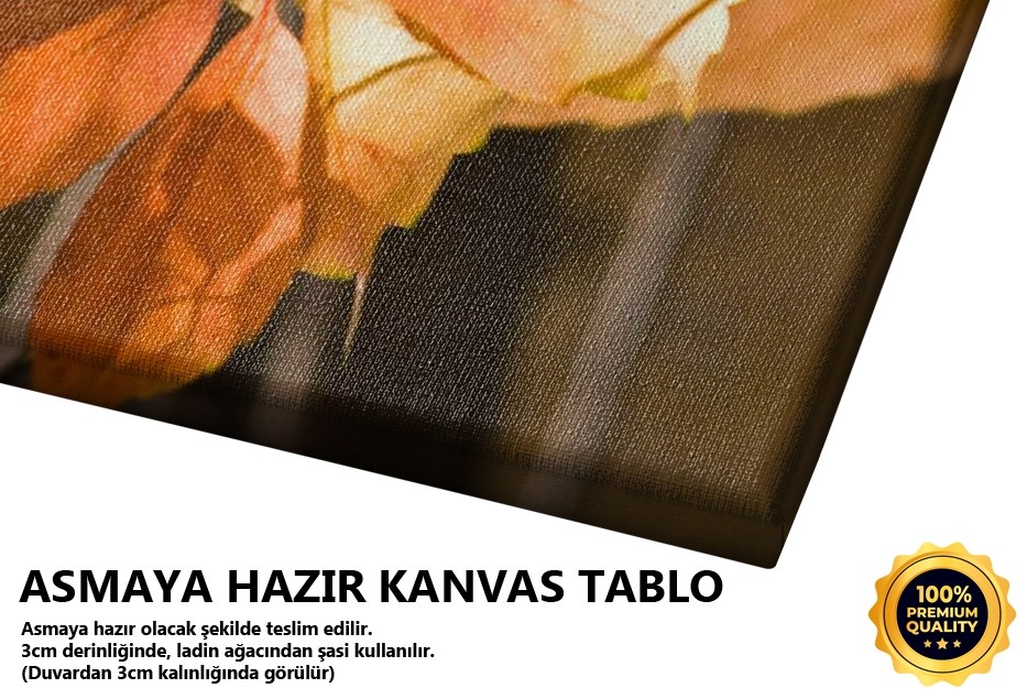 Sonbahar Renkleri Tablo