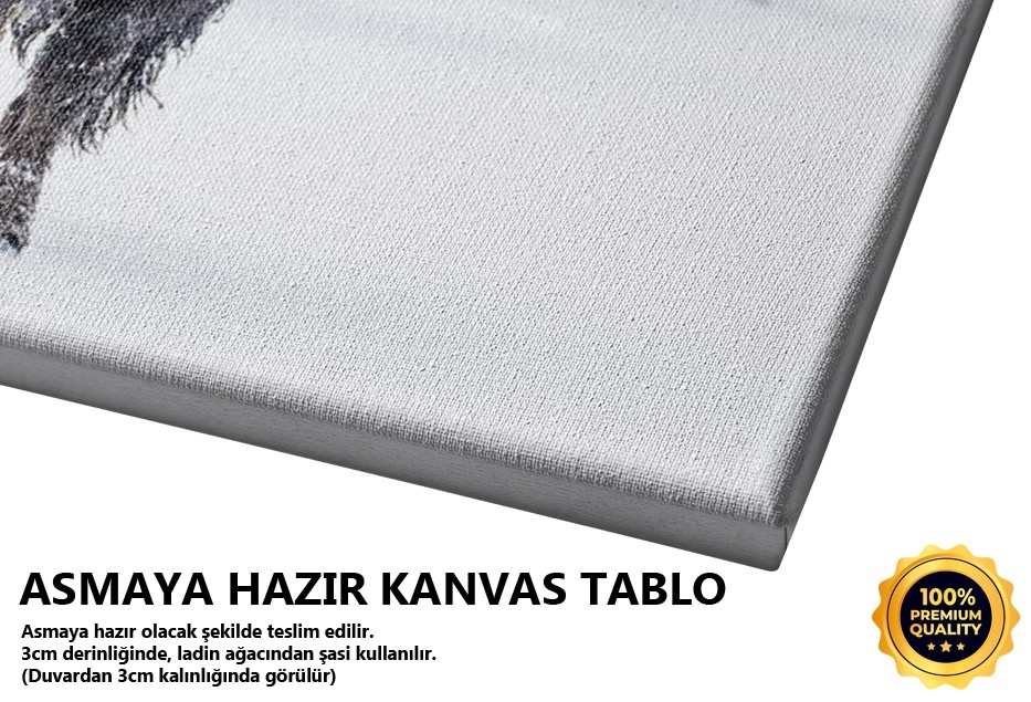 Bizon Tablo