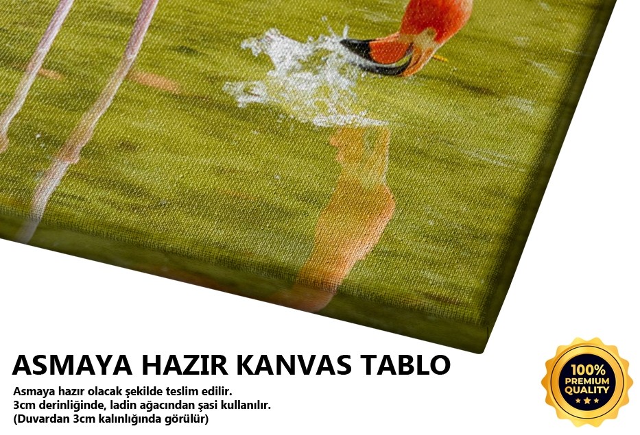 Flamingo Tablo