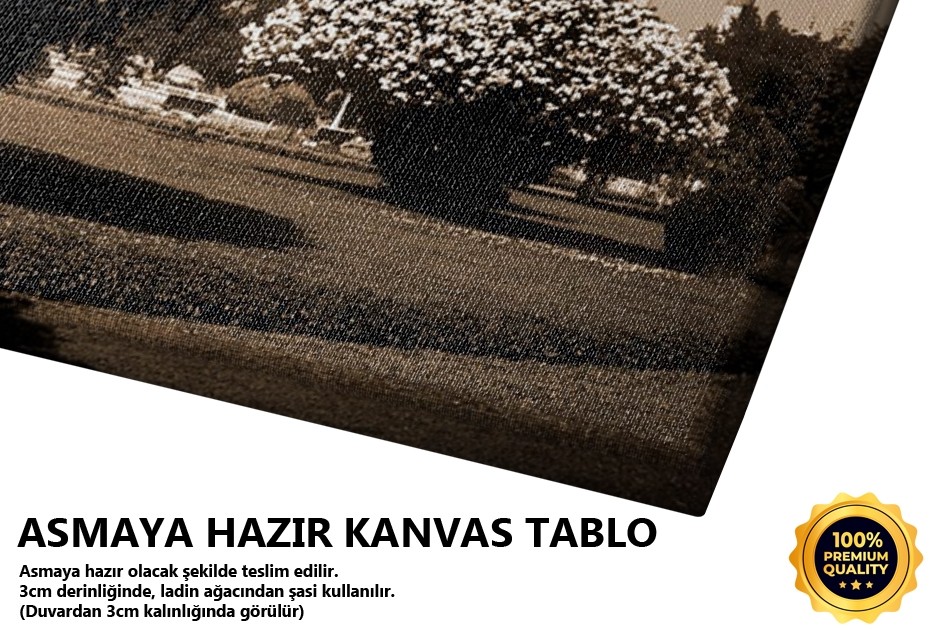 Ayasofya Tablo