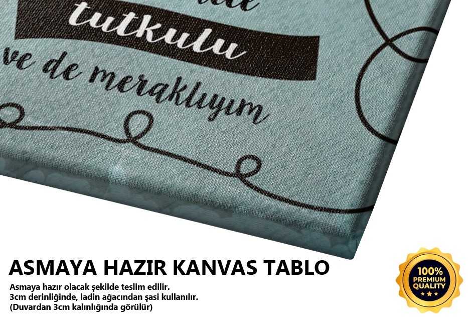 Ben Özel Biri Değilim Tablo