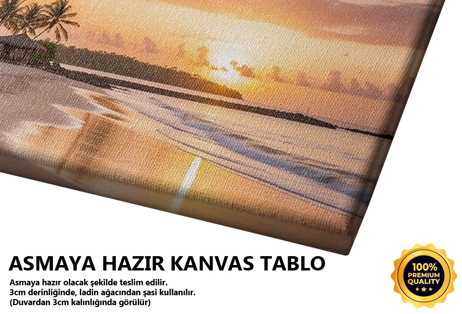 Hindistancevizli Sahil Güneşi