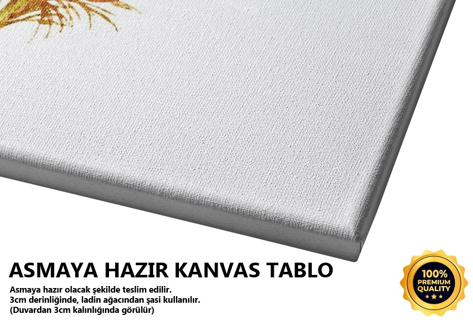 Renkli Tüy 2 Tablo