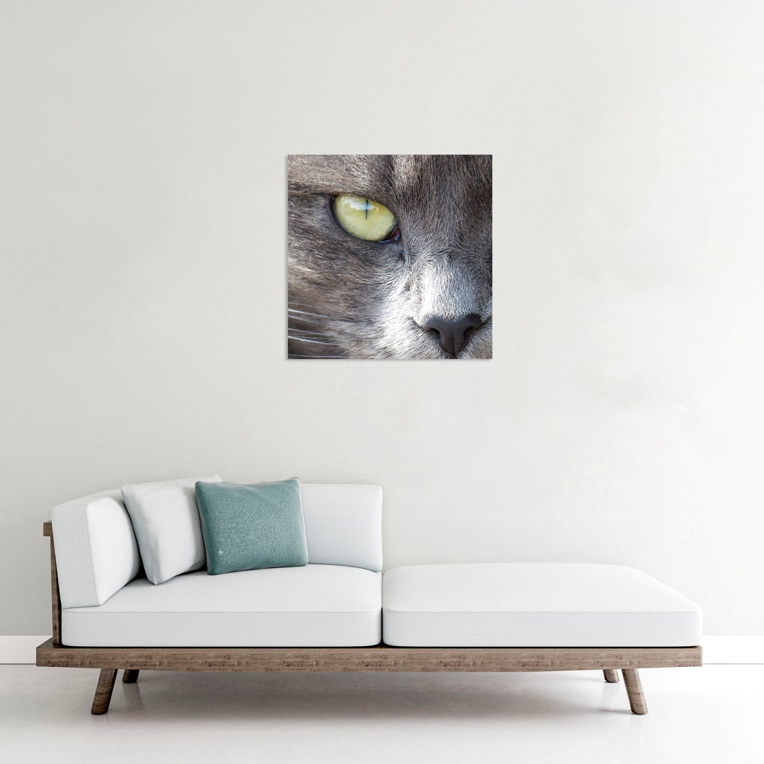 Kedi Tablo