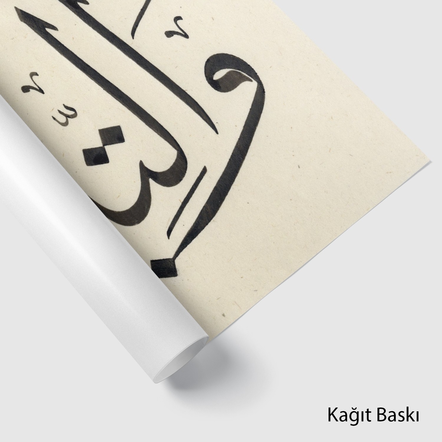 Vet Tîni Vez Zeytuni (Baskı)