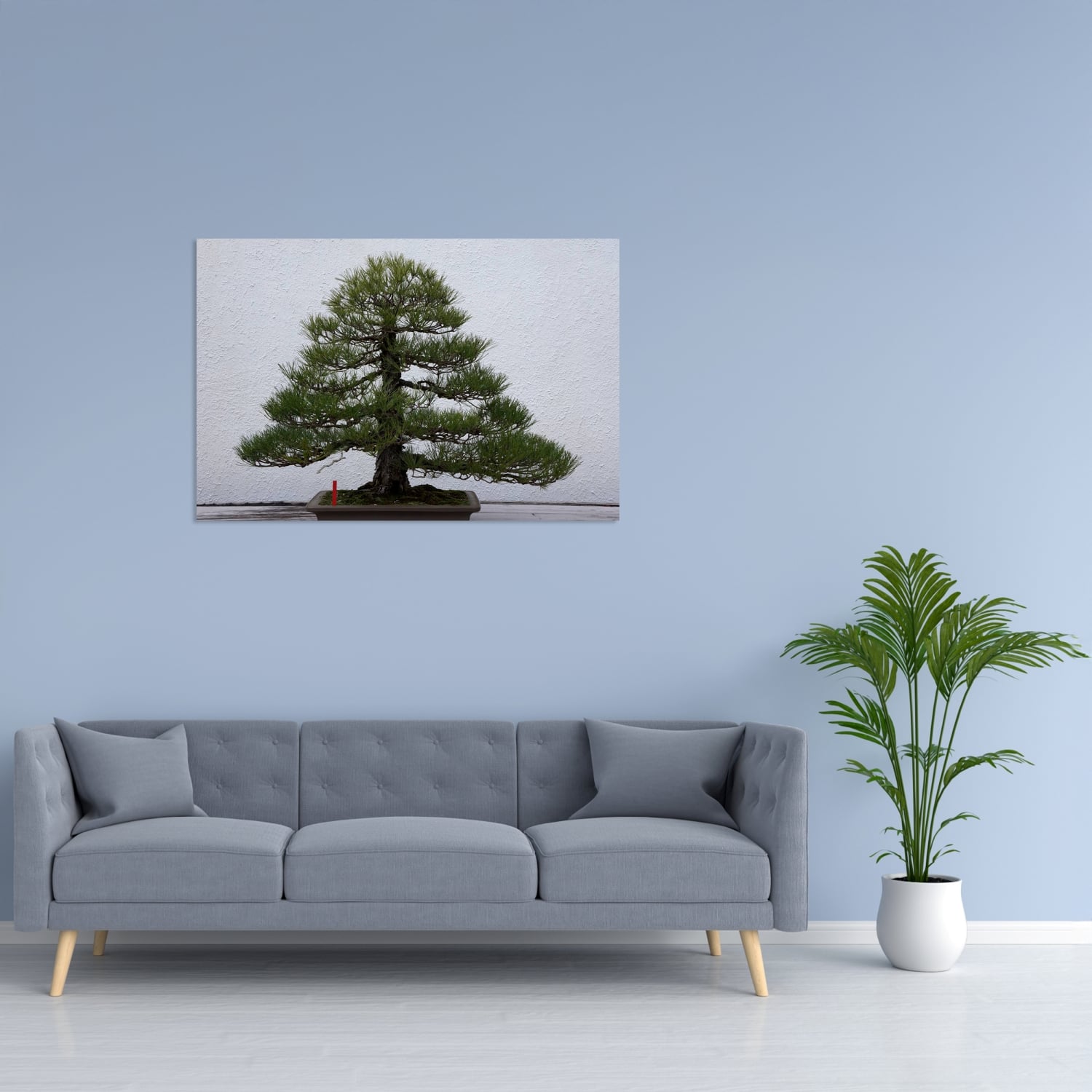 Bonsai Çam Tablo
