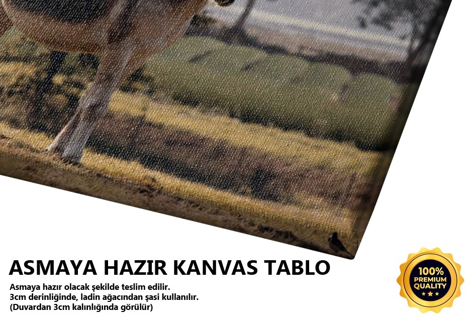 Bremen Mızıkacıları Tablo
