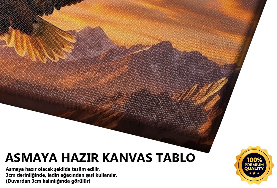Dağların Üzerinde Kartal Uçuşu