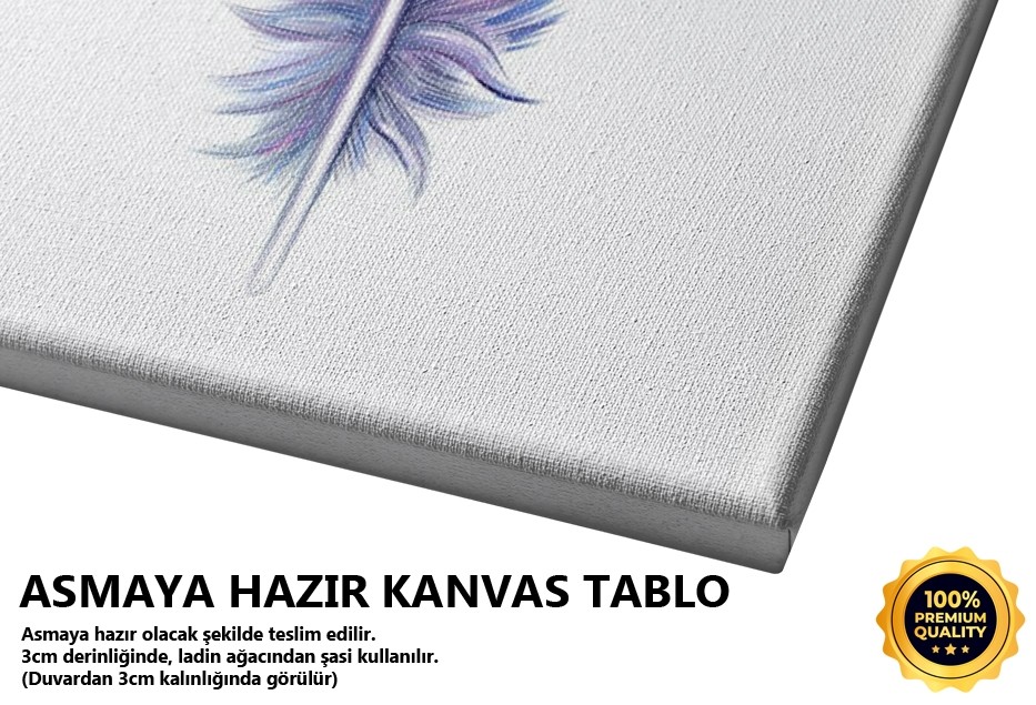 Tüy 10 Tablo
