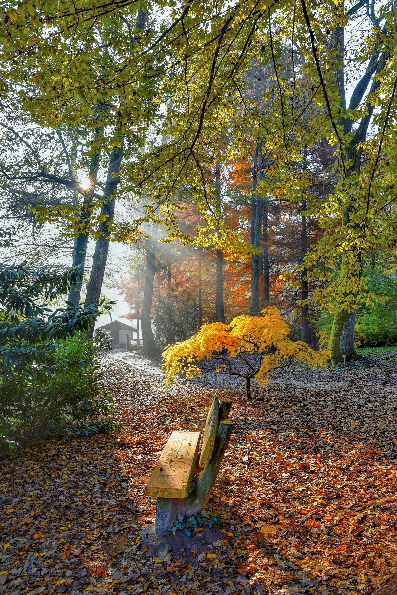 Işık Hüzmesi ve Sonbahar