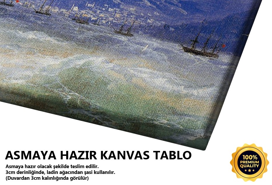 Rus Ve Türk Gemileri, 1888 Tablo