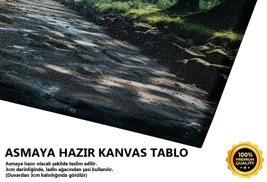 Yaz Günü Çayırlıkta Gün Işığı