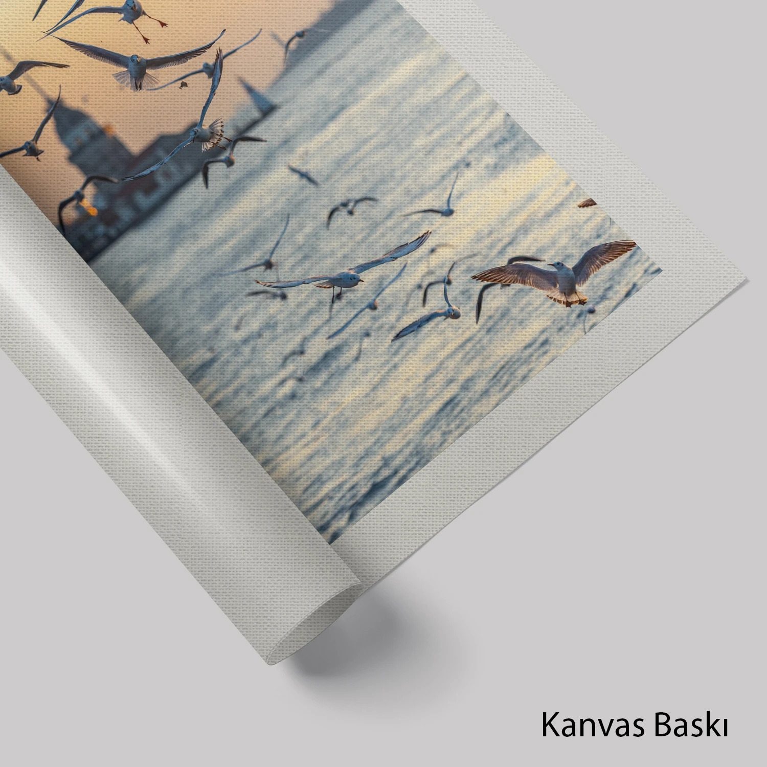 Martılar ve Kız Kulesi