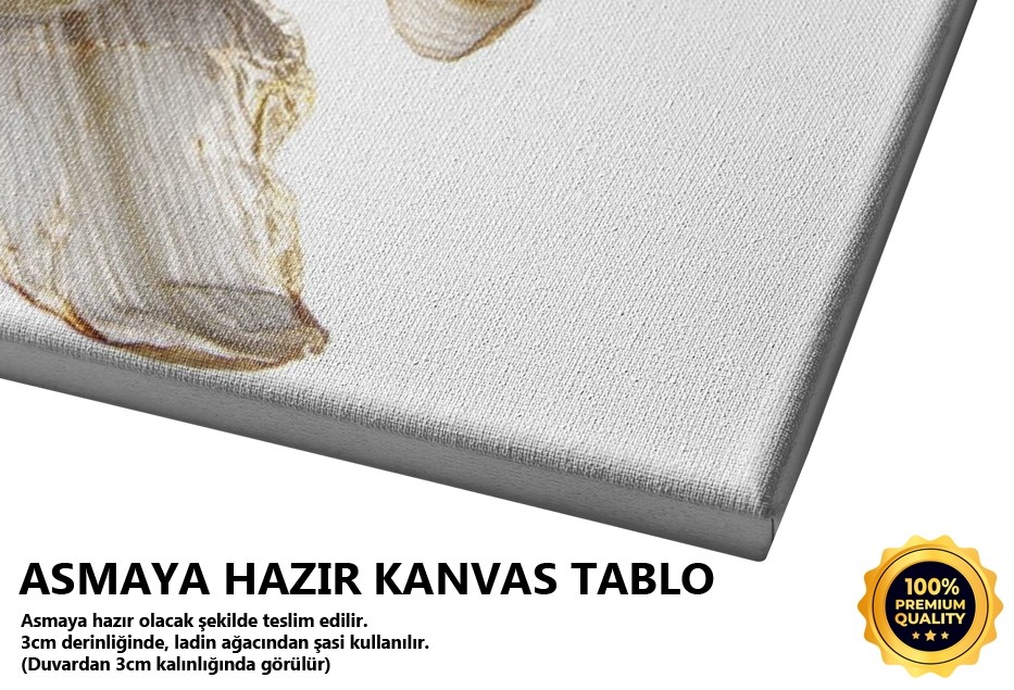 Bir Lilyum Rüya Görmüş -2008 Tablo