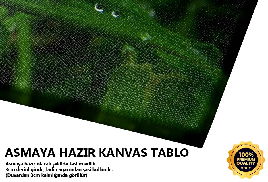 Katre -2006 Tablo