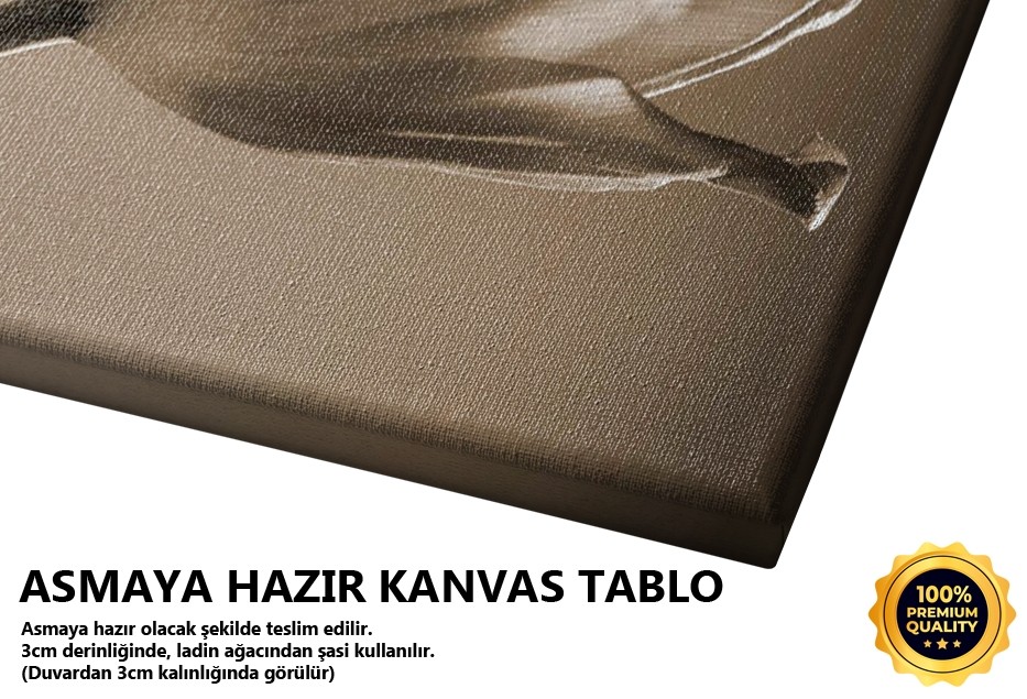 İkimiz Bir Iı -2008 Tablo