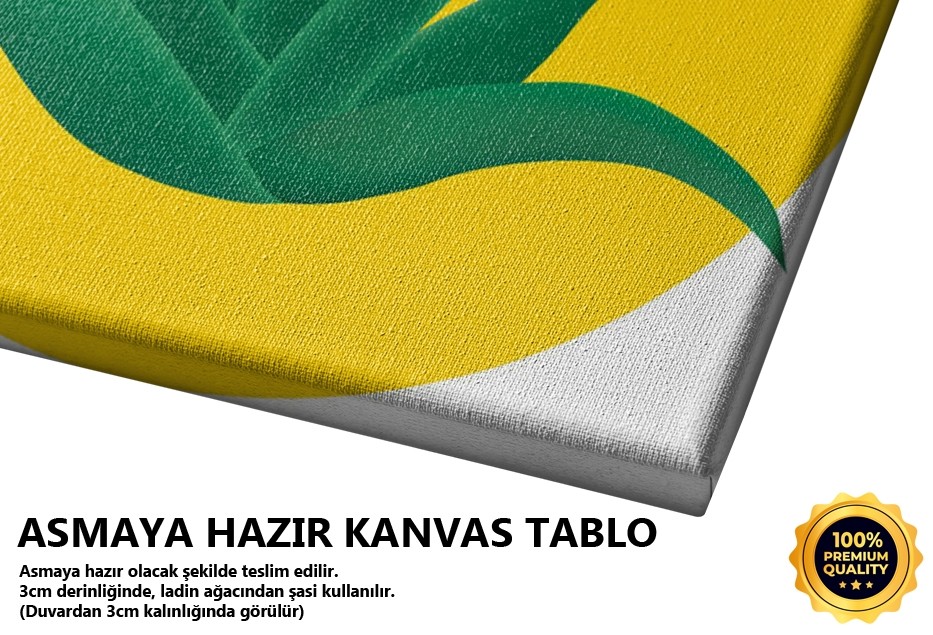 Aloe Vera 1 Tablo