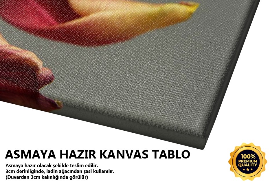 Kaçış -2008 Tablo