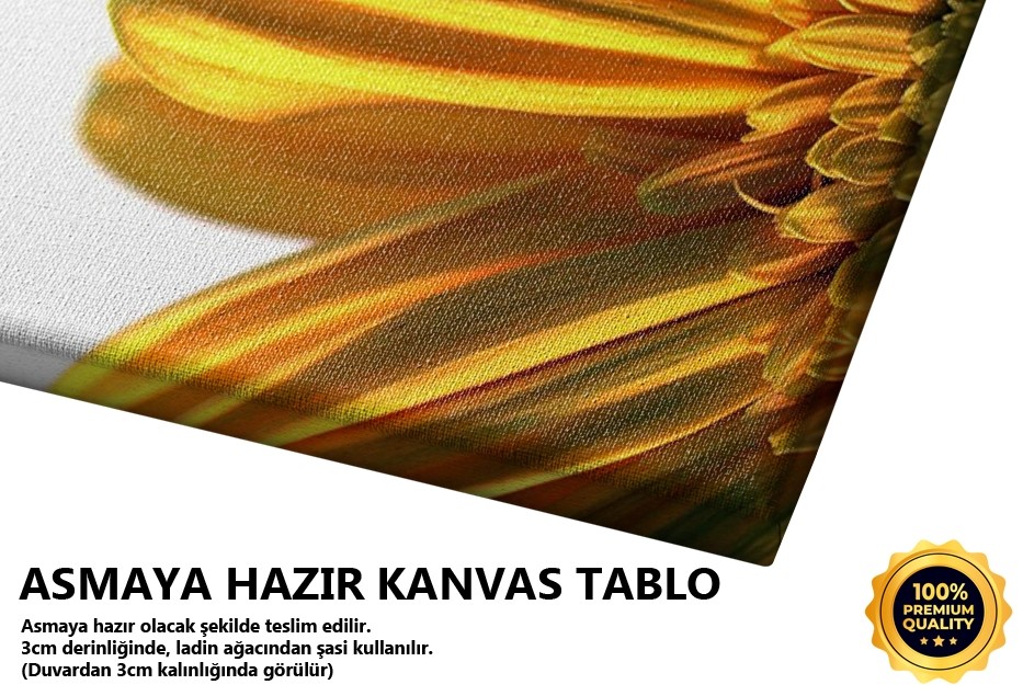 İkizler Tablo