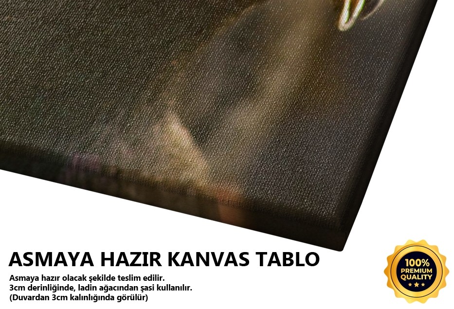 Güvercinler Tablo
