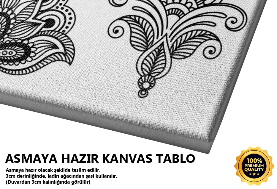 Dansçı Kız Ve Kedisi Tablo